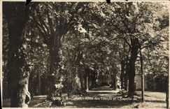 VINTAGE POSTCARD Rochefort Gone of the Limes and Vault of Lorette