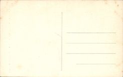 VINTAGE POSTCARD Oiron the Castle Chimney of the Room of the Guards