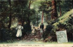 VINTAGE POSTCARD the Mount Gilds Way of the Capuchin Under Wood