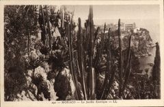 CPA Monaco Le Jardin Exotique