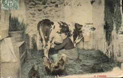 CPA a l'etable Paysan Vache Poules Folklore 