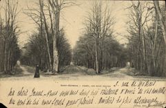 CPA Saint Germain Foret Les Neuf Routes