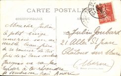 Panorama de Orleans de la POSTAL de la VENDIMIA de los dos puentes