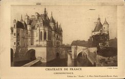 Castillos de la POSTAL de la VENDIMIA de Chenonceaux Francia