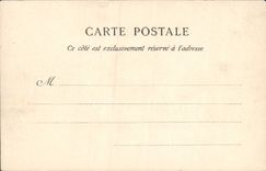 CPA Chateau de Pau 