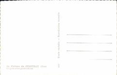 POSTAL MODERNA castillo de Chantilly el parque y las piezas del macho del agua