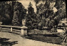 POSTAL MODERNA encoleriza una esquina del jardín botánico