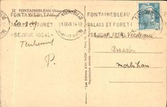 CPA Fontainebleau La foret Le vautour Rapace