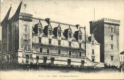 CPA Pau Le Chateau National