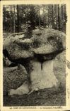 VINTAGE POSTCARD Drill De Fontainerleau the Mushroom of Bitterly