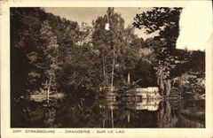 Naranjal de Estrasburgo de la POSTAL de la VENDIMIA en el lago