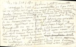 CPA Fantaisie Fleurs