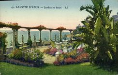 VINTAGE POSTCARD the Dimension Of Azure Gardens in Flowers