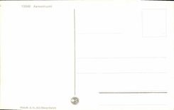 VINTAGE POSTCARD Aareschlucht