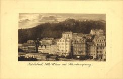 CPA Karlsbad Alte Wiese mit Hirschensprung