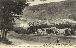 CPA Le Mont Dore Vu Du Chemin Du Capucin