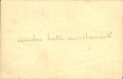 VINTAGE POSTCARD Castle and cows