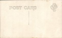 VINTAGE POSTCARD Fantaisie Woman Tallies Child and bicycle