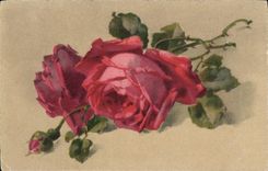 CPA Fantaisie Fleurs Roses