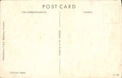 CPA Arbre Cotton Trees