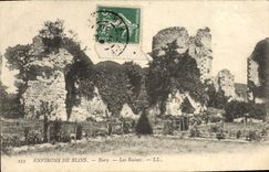 CPA Environs De Blois Bury Les Ruines