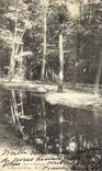 VINTAGE POSTCARD Paris Bois de Boulogne the Pond with the Hinds