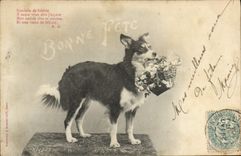 VINTAGE POSTCARD Fantasy Dog Symbol of fidelity