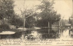 VINTAGE POSTCARD Drill of Fontainebleau Pond of Franchard