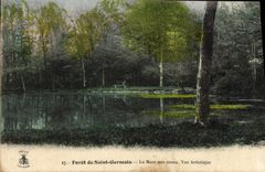 CPA Foret de Saint Germain La Mare aux canes Vue Artistique