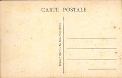 CPA Vichy Le Parc Bassin des Cygnes