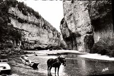 CPM En Parcourant les Gorges du Tarn Les Detroits Un train de barques 