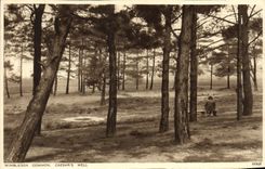 VINTAGE POSTCARD Wimbledon Common Caesar' S Well