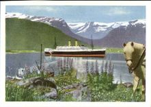 CPM Turistskip i fjordene