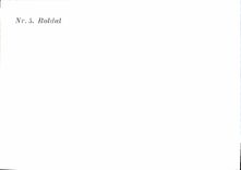 CPM Roldal