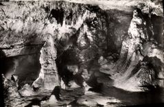 CPM Les Grottes d'Arcy sur Cure Le Capucin