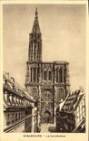 POSTAL Strabourg de la VENDIMIA la catedral