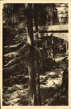 CPA Gerardmer Pont de la Vologne