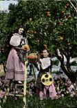 CPM Cote D'Azur La cueillette des oranges par des jeunes filles en costume folklorique Folklore