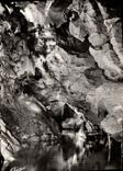 CPM Grottes de Betharram La Riviere au Debarcadere