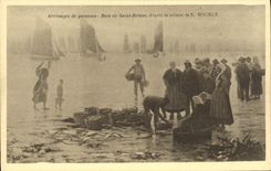 MODERN CARD Arrivals of fish Bay of Brieuc Saint according to the table of Face
