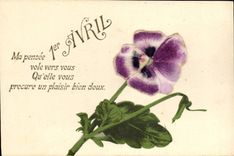 MODERN CARD My thought steals towards you qu it you precure a pleasure quite soft Fleurs