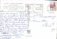 MODERN CARD Picturesque Alsace Nest of Storks birds