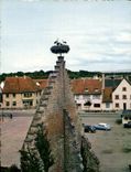 MODERN CARD Picturesque Alsace Nest of Storks Ostheim Birds