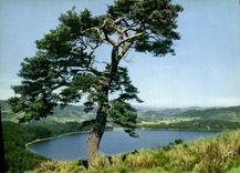 MODERN CARD Lac of Issarles Locates In the Crater of an old Volcano