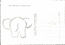 CPM Nimes Les Arenes Romaines