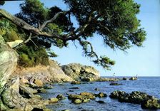 CPM La Cote d'Azur Bord De Mer