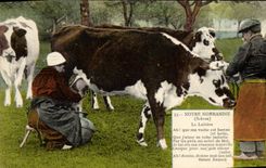 CPA Notre Normandie La Laitiere Folklore Paysans