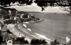 MODERN CARD Trestonel