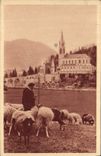 VINTAGE POSTCARD Heavy the Basilica Shepherd Sheep