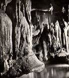 MODERN CARD Caves De Betharram Mushrooms Shifts